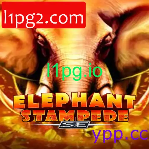 ElephantStampedeSE